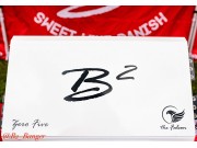 B2 Audio Zero Five - The Falcon